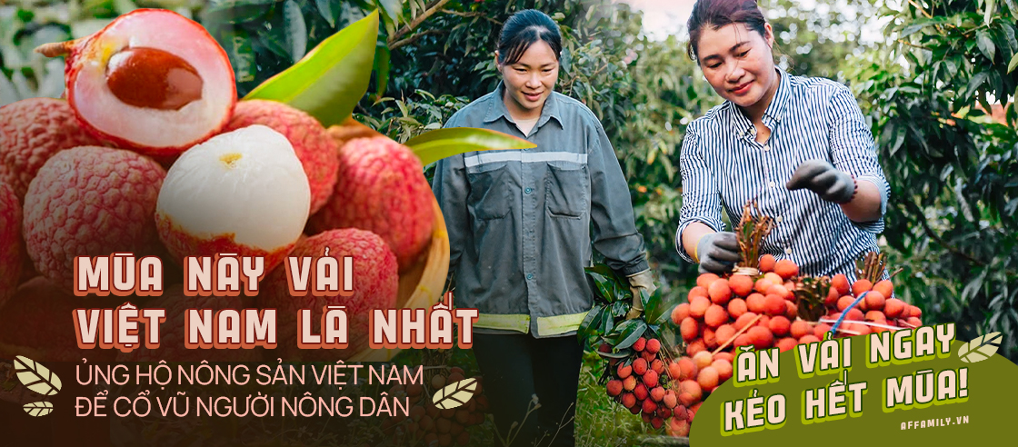 VinMart/VinMart+ cam kết tiêu thụ 2.000 tấn vải thiều Lục Ngạn - Bắc Giang - Ảnh 5.