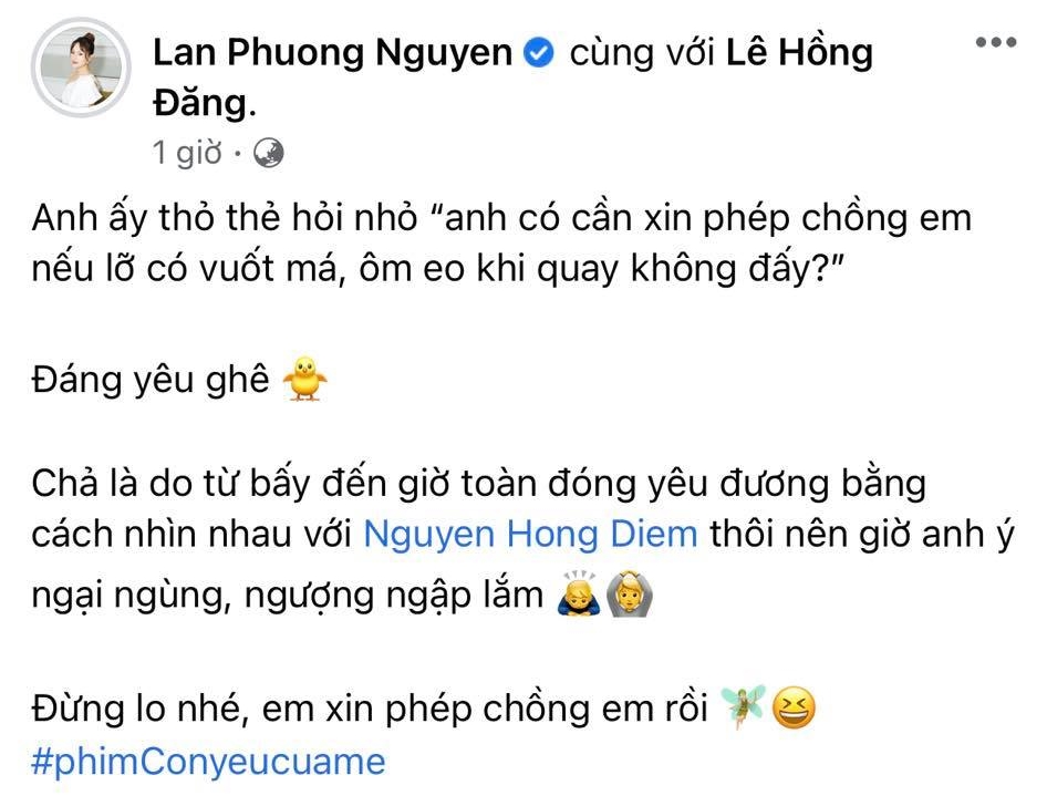 Hồng Đăng đóng vợ chồng với Lan Phương, hẹn ngày tái ngộ Hồng Diễm, nào ngờ bị bạn diễn tố ngoa ngoắt - Ảnh 2. hồng đăng, lan phương