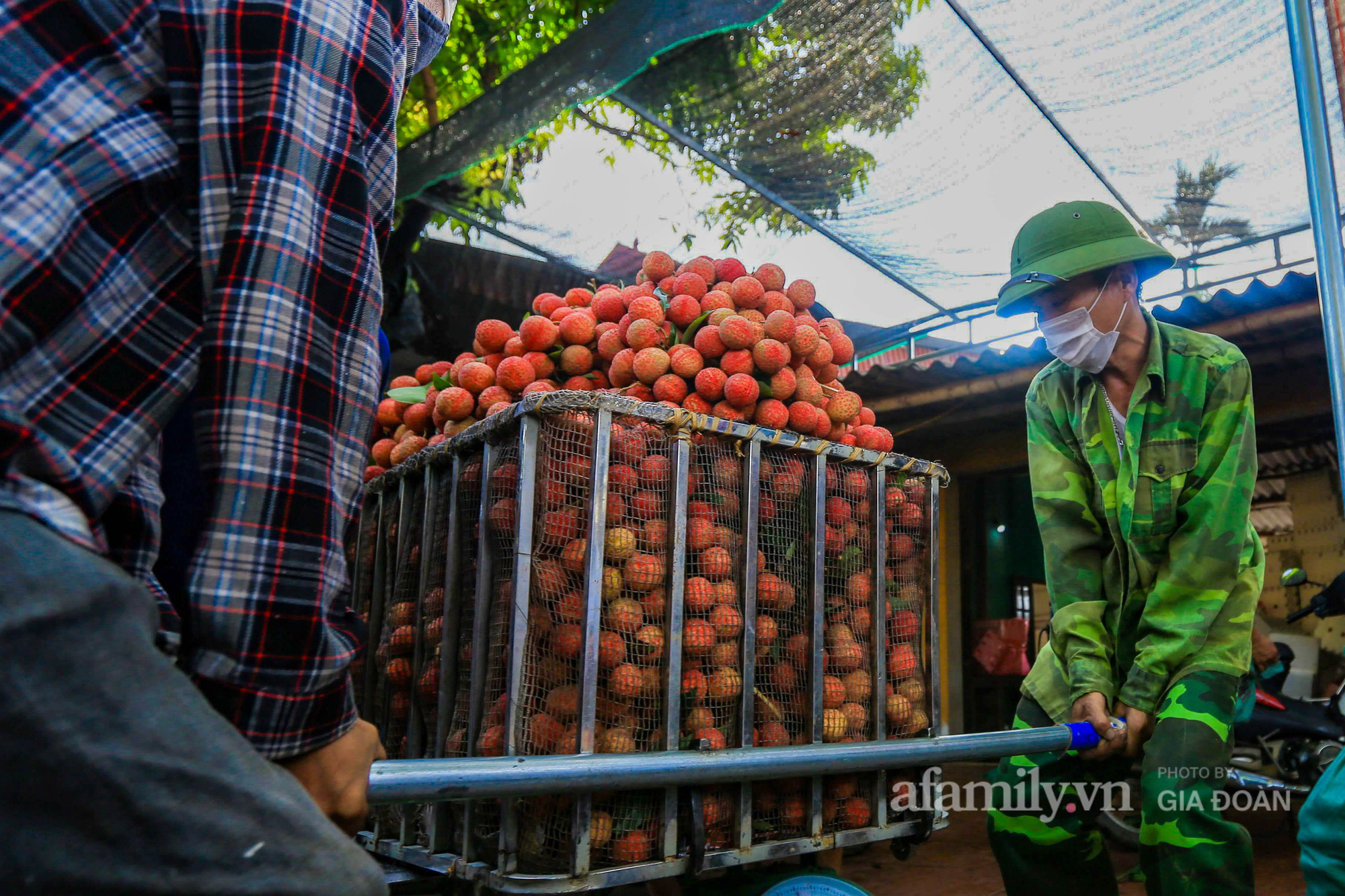Chợ vải Bắc Giang nhộn nhịp vào mùa - Ảnh 12.