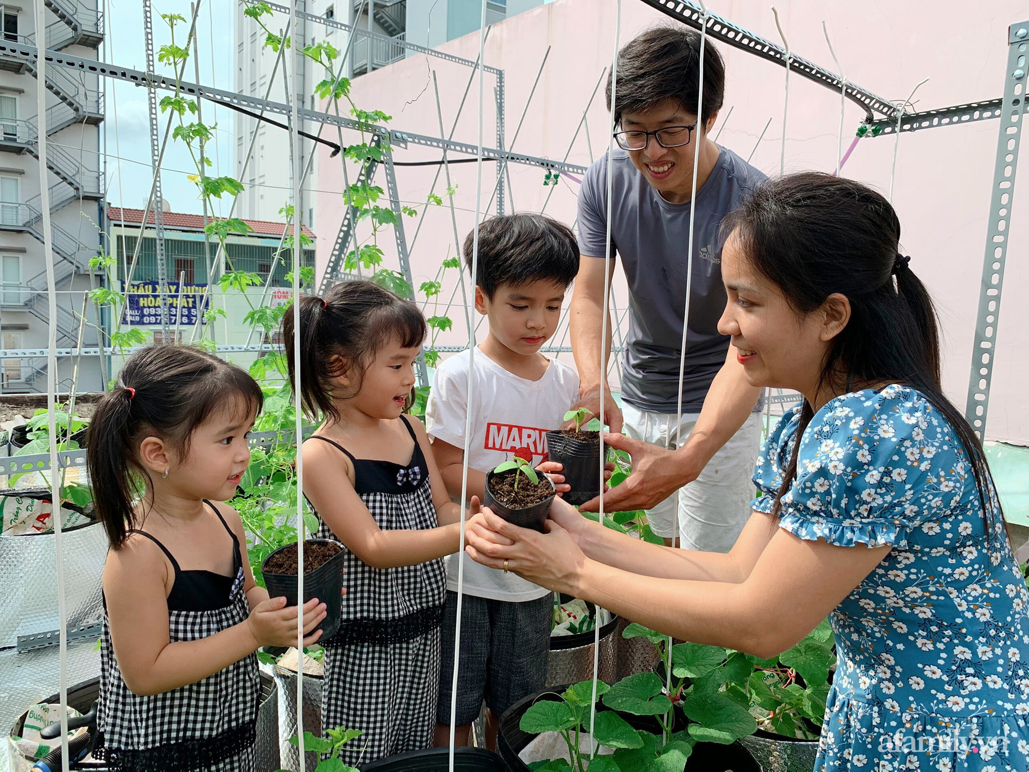 Khu vườn xanh tươi trên mái nhà và bí quyết đáng học hỏi của mẹ 3 con ở Sài Gòn - Ảnh 1.