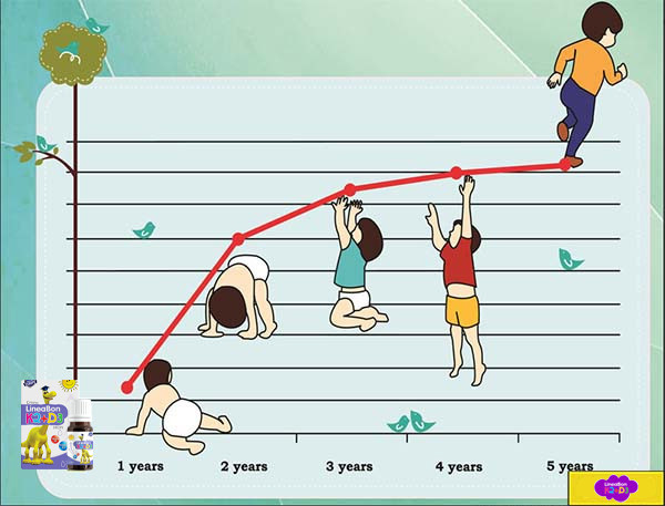 Lý do mẹ nên chọn ngay LineaBon giữa rất nhiều sản phẩm hỗ trợ bé trong quá trình phát triển chiều cao - Ảnh 1.