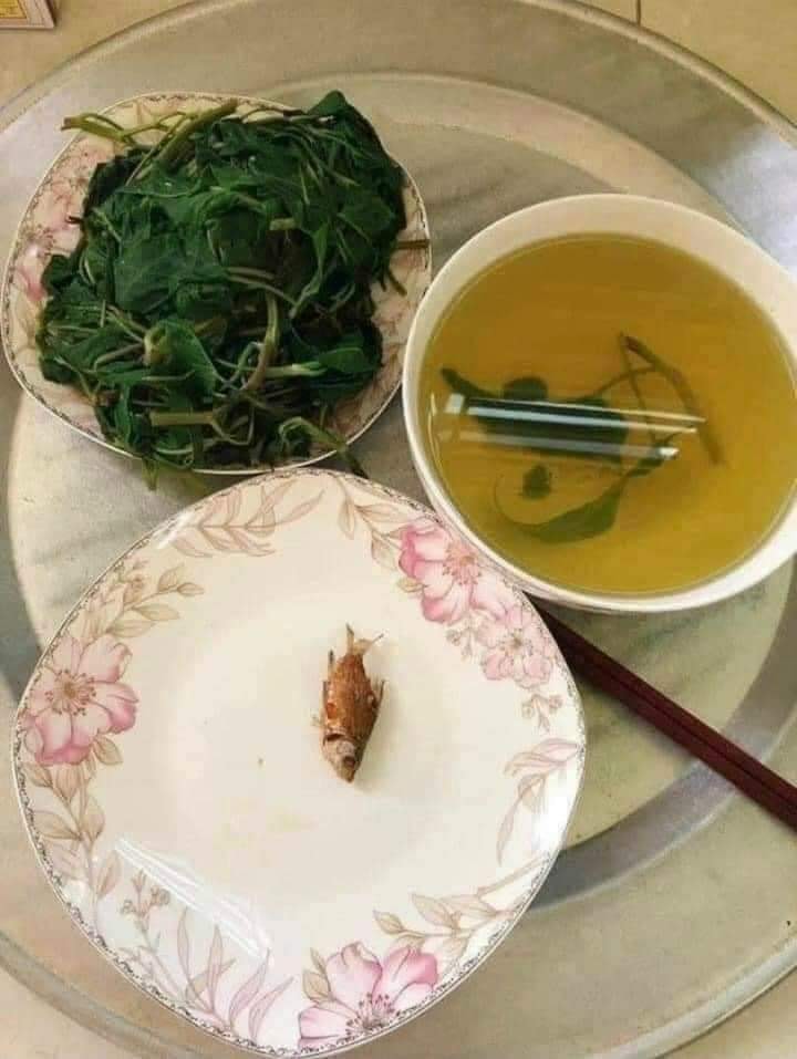 Cả siêu thị chỉ còn 1 con cá không ai mua, cô nàng thương tình mua về và cái kết khiến dân mạng ngã ngửa - Ảnh 3. Cả siêu thị chỉ còn 1 con cá không ai mua, cô nàng thương tình mua về và cái kết khiến dân mạng ngã ngửa - Ảnh 3.