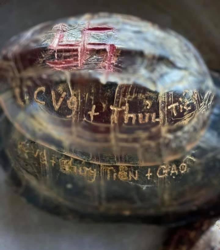 Tranh c&atilde;i dữ dội h&agrave;nh động khắc t&ecirc;n l&ecirc;n mai r&ugrave;a ph&oacute;ng sinh của gia đ&igrave;nh C&ocirc;ng Vinh - Thủy Ti&ecirc;n - Ảnh 2.