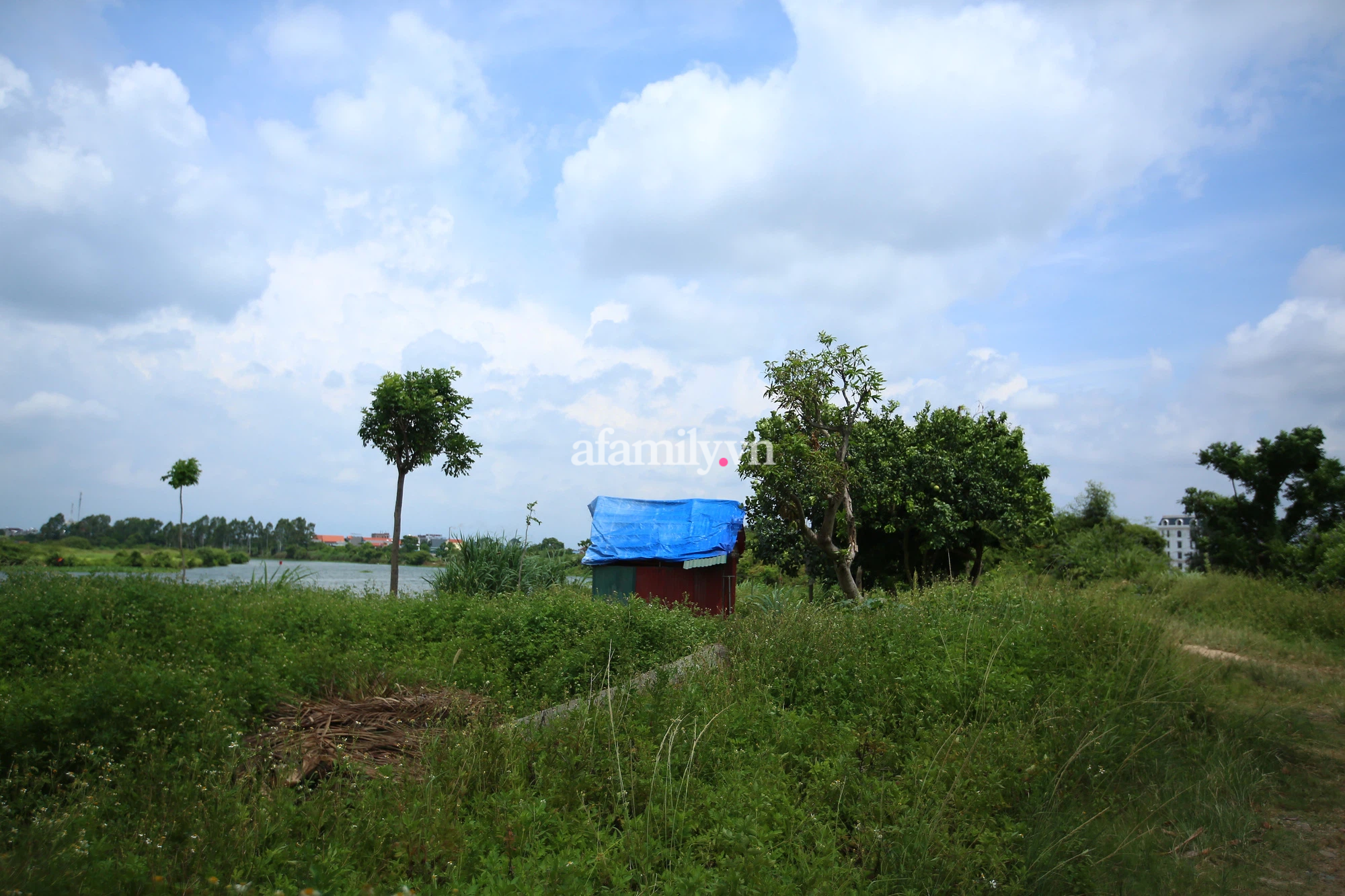 Vụ giết chủ nợ, đốt xác phi tang ở Hải Dương: Nghi phạm nợ số tiền lớn, còn thường qua lại với gia đình nạn nhân - Ảnh 4. Vụ giết chủ nợ, đốt xác phi tang ở Hải Dương: Nghi phạm nợ số tiền lớn, còn thường qua lại với gia đình nạn nhân - Ảnh 4.