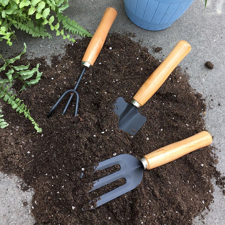 Muốn bắt đầu trồng cây tại nhà thì bạn hãy sắm ngay những dụng cụ dưới đây - Ảnh 10.