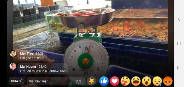 Trước giờ ngừng bán, nhiều nhà hàng tại Hà Nội livestream giải cứu hải sản - Ảnh 1.