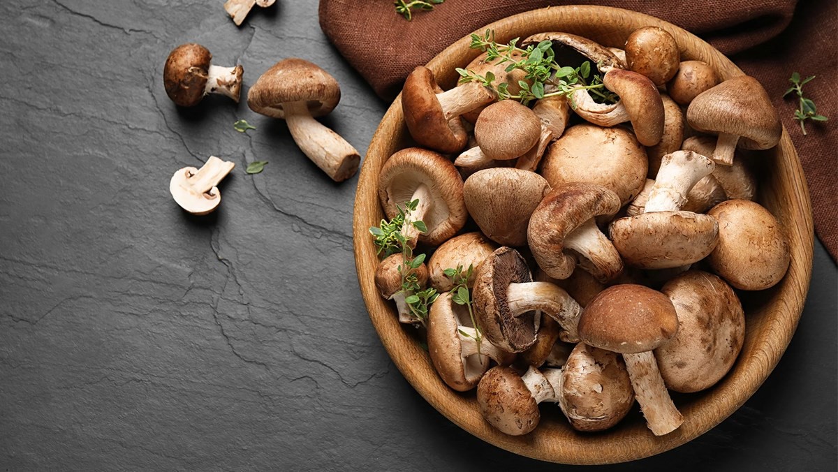 Nước tương nấm Shiitake – Thơm ngon đến giọt cuối cùng - Ảnh 2.