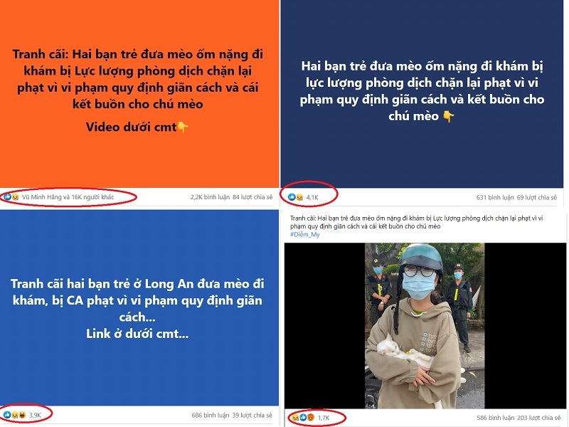 Lời gan ruột của CSGT bị 'tấn công' trên MXH vì phạt người đưa mèo đi khám giữa lúc giãn cách - Ảnh 1.