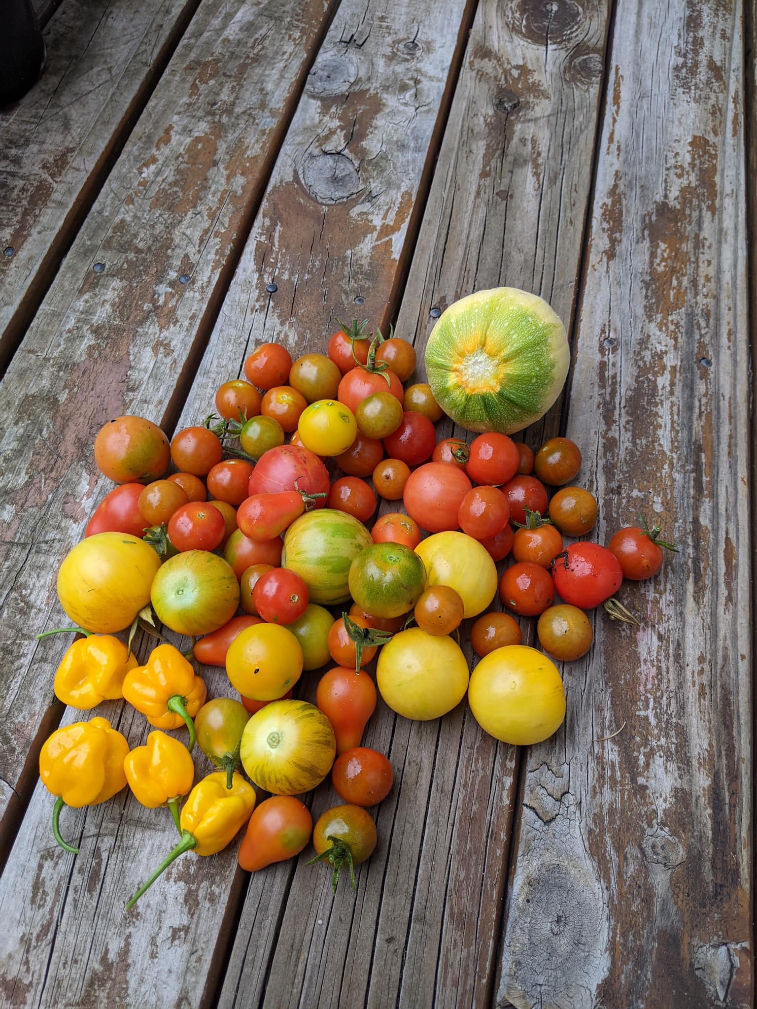 The small yard turns into a garden of all kinds of lush plants thanks to the beautiful young mother's love for farming - Photo 7.