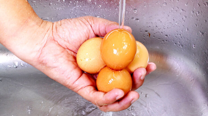 clean-eggs-washing-205784110-730x407.jpg