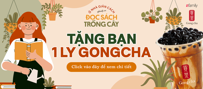 Cách trồng 5 loại cây gia vị trong bếp, ăn thoải mái, hết lại tự lên  - Ảnh 8.