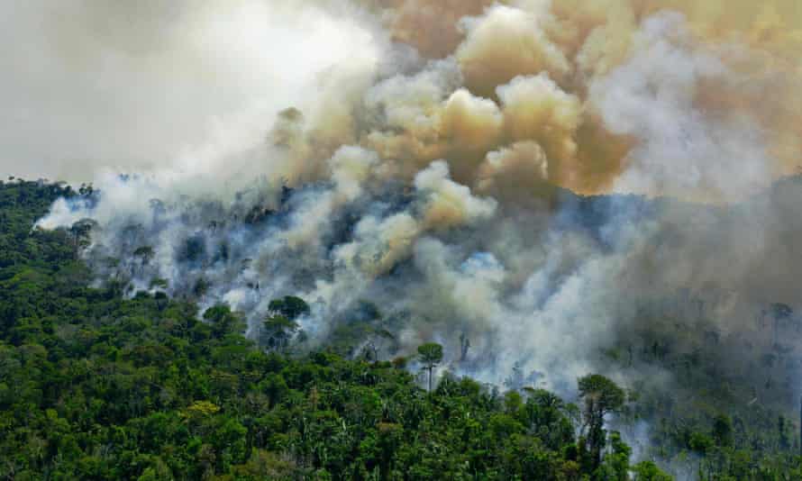 Tin rất buồn: Rừng Amazon chạm đến điểm cực hạn, đang phát thải CO2 còn nhiều hơn khả năng hấp thụ - Ảnh 2.