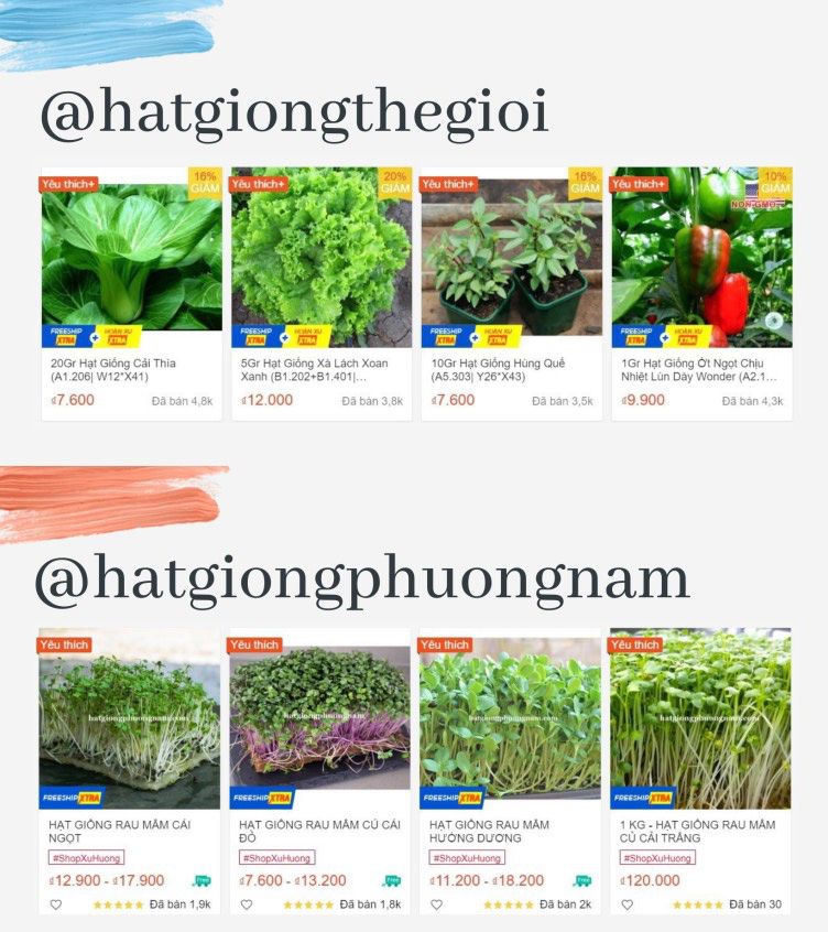 Giới trẻ Sài Gòn tự trồng cả vườn rau, hoá giải “bài toán” thực phẩm mùa dịch - Ảnh 2.