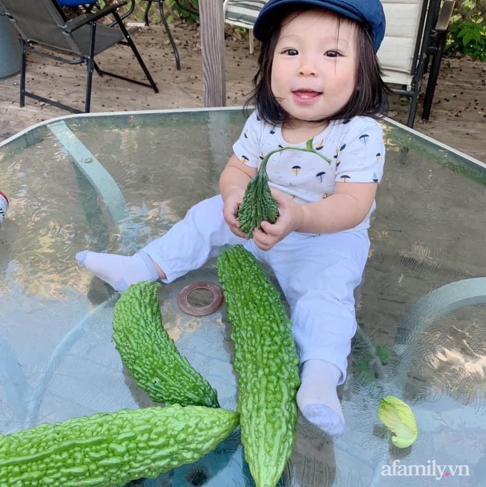 Khu vườn của mẹ Việt ở Mỹ sai trĩu rau củ kích thước khủng, ăn không hết luôn phải mang chia bớt cho hàng xóm - Ảnh 11.