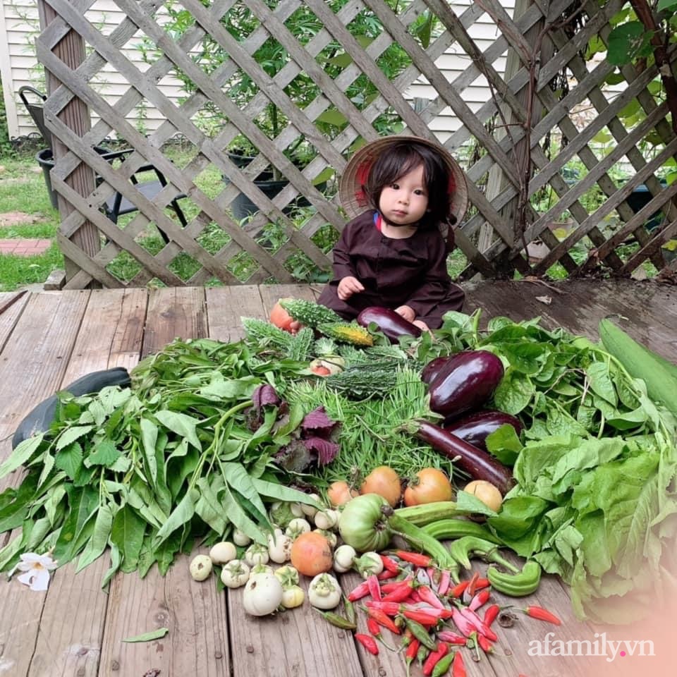 Khu vườn của mẹ Việt ở Mỹ sai trĩu rau củ kích thước khủng, ăn không hết luôn phải mang chia bớt cho hàng xóm - Ảnh 2.