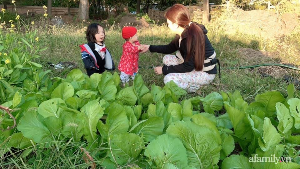 Khu vườn của mẹ Việt ở Mỹ sai trĩu rau củ kích thước khủng, ăn không hết luôn phải mang chia bớt cho hàng xóm - Ảnh 12.