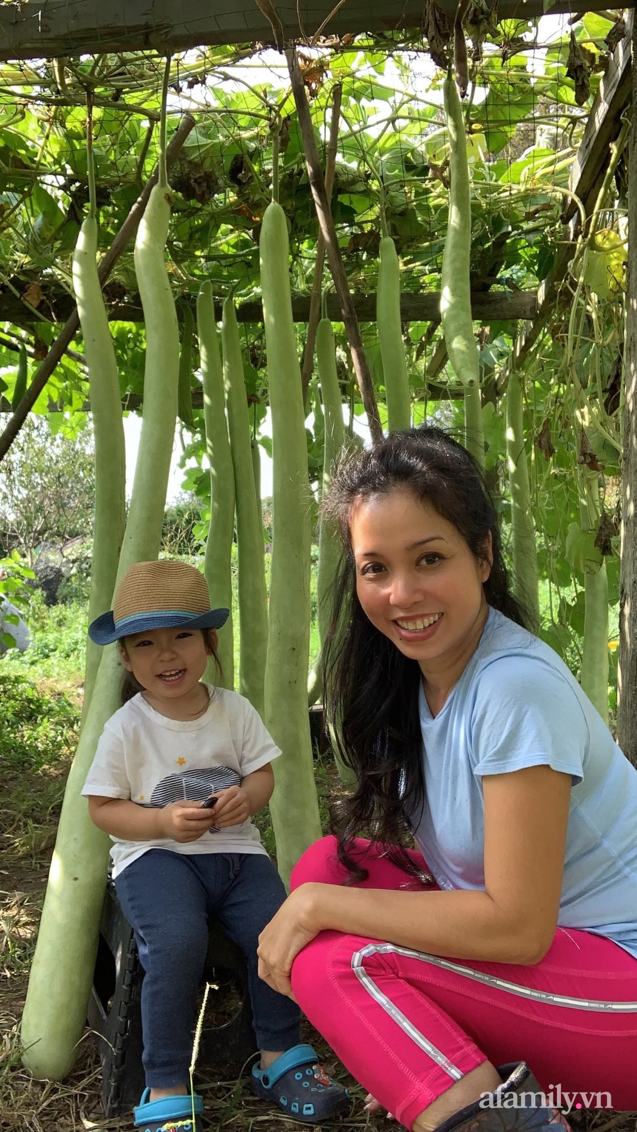 Khu vườn của mẹ Việt ở Mỹ sai trĩu rau củ kích thước khủng, ăn không hết luôn phải mang chia bớt cho hàng xóm - Ảnh 4.