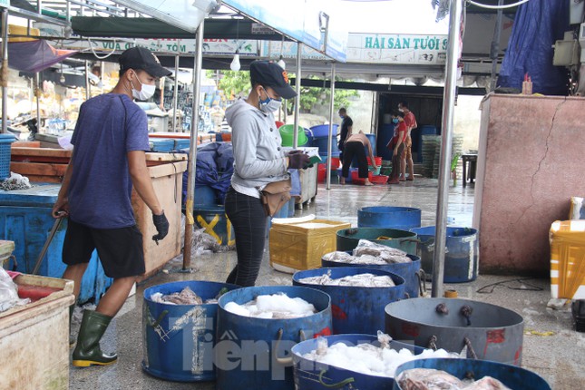 20 người buôn bán trong cảng cá Thọ Quang dương tính với SARS-CoV-2 - Ảnh 1.