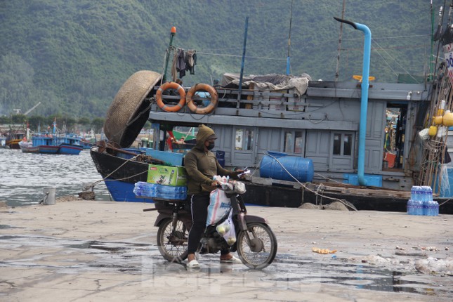 20 người buôn bán trong cảng cá Thọ Quang dương tính với SARS-CoV-2 - Ảnh 2.