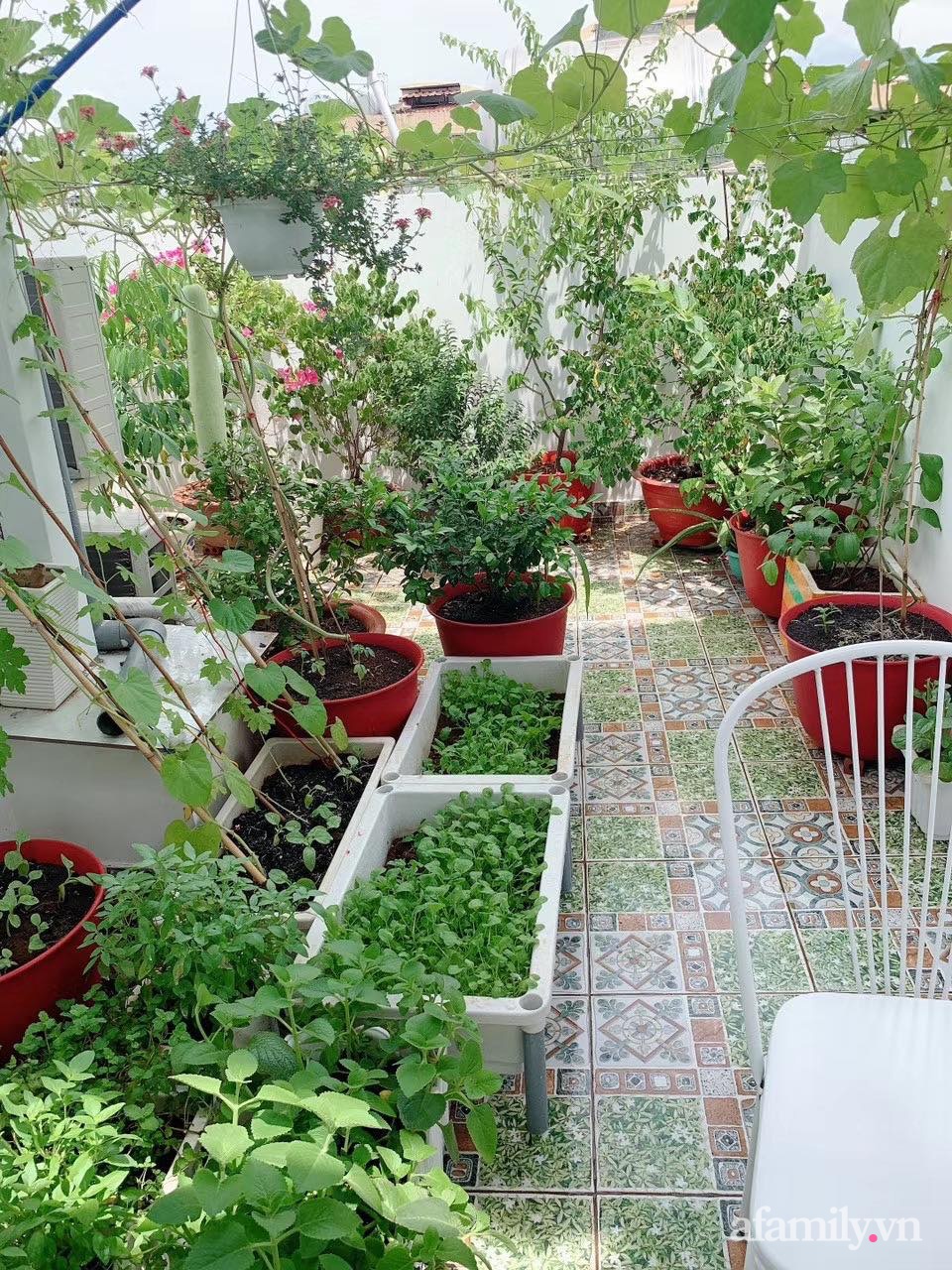 Sài Gòn bùng dịch, người mẹ trẻ vẫn an yên trong nhà nhờ sân thượng rau sạch và hoa rực rỡ - Ảnh 13.
