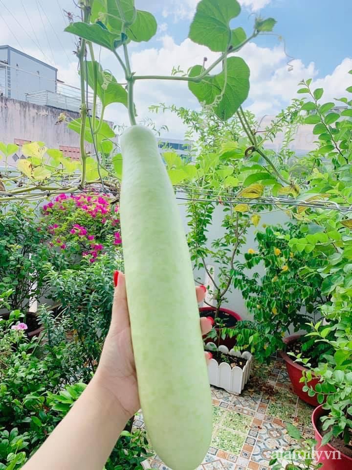 Sài Gòn bùng dịch, người mẹ trẻ vẫn an yên trong nhà nhờ sân thượng rau sạch và hoa rực rỡ - Ảnh 9.