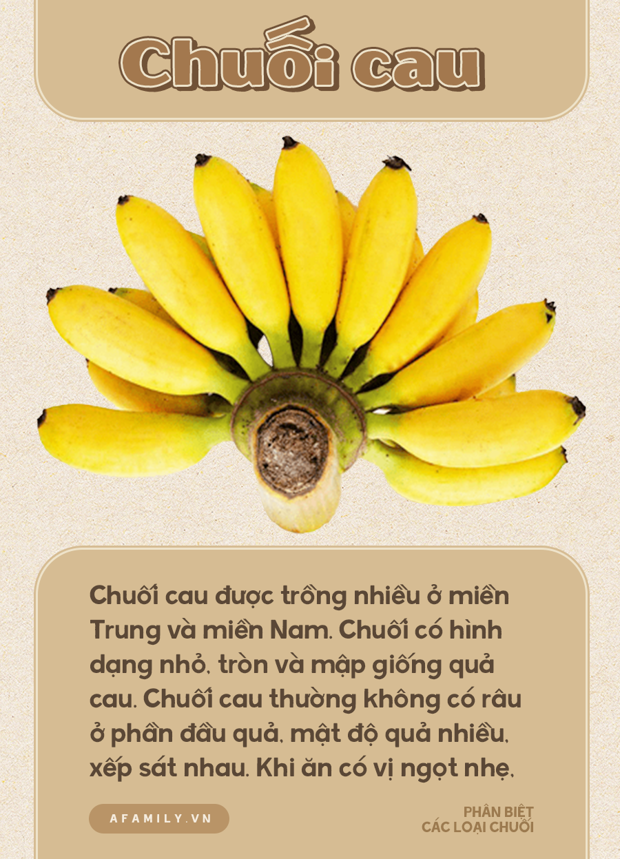 Chứng tỏ gái đảm bằng cách thể hiện việc biết phân loại các giống chuối này nhé - Ảnh 5.
