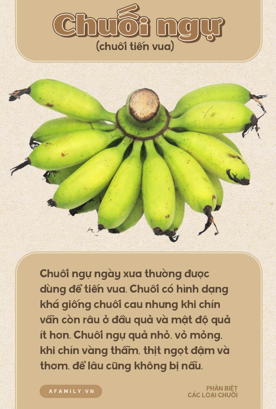 Chứng tỏ gái đảm bằng cách thể hiện việc biết phân loại các giống chuối này nhé - Ảnh 7.