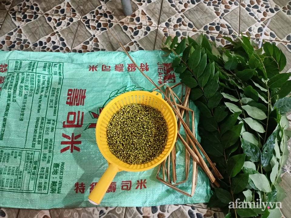 Giãn cách ở nhà học mẹ đảm Cà Mau cách trồng 300gram đậu thu hơn 2kg giá chỉ trong 4 ngày - Ảnh 2.