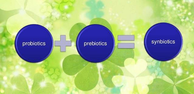 Synbiotics - Dưỡng chất “vàng” hỗ trợ hệ tiêu hóa của bé - Ảnh 4.