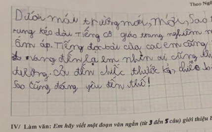Được yêu cầu viết đoạn văn giới thiệu bản thân, học sinh lớp 1 ghi vỏn vẹn 4 từ mà khiến ai nấy cười vỡ bụng