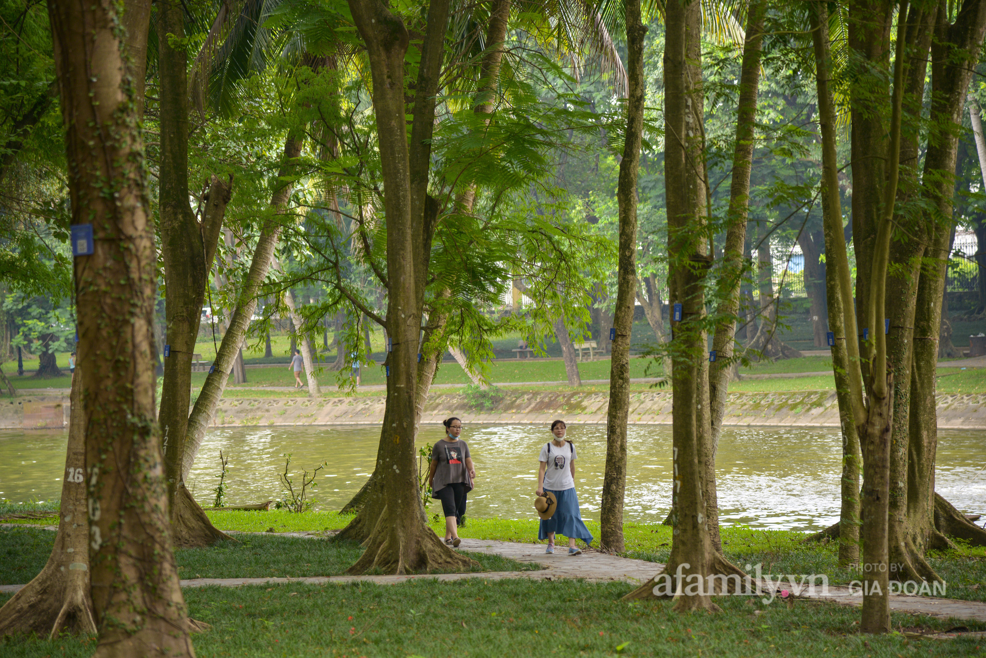 Lá phổi xanh khổng lồ giữa lòng Hà Nội, cần gì đi đâu xa trong những ngày nắng gắt - Ảnh 9.