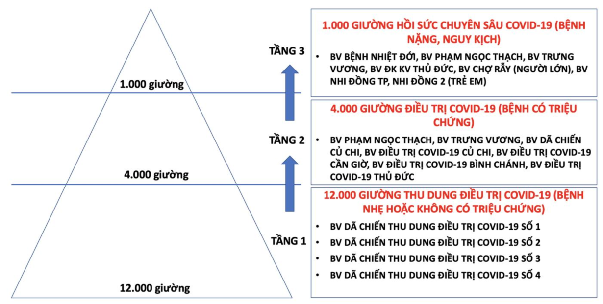 Lên phương án điều trị 10.000 - 15.000 ca bệnh tại TP.HCM - Ảnh 1.