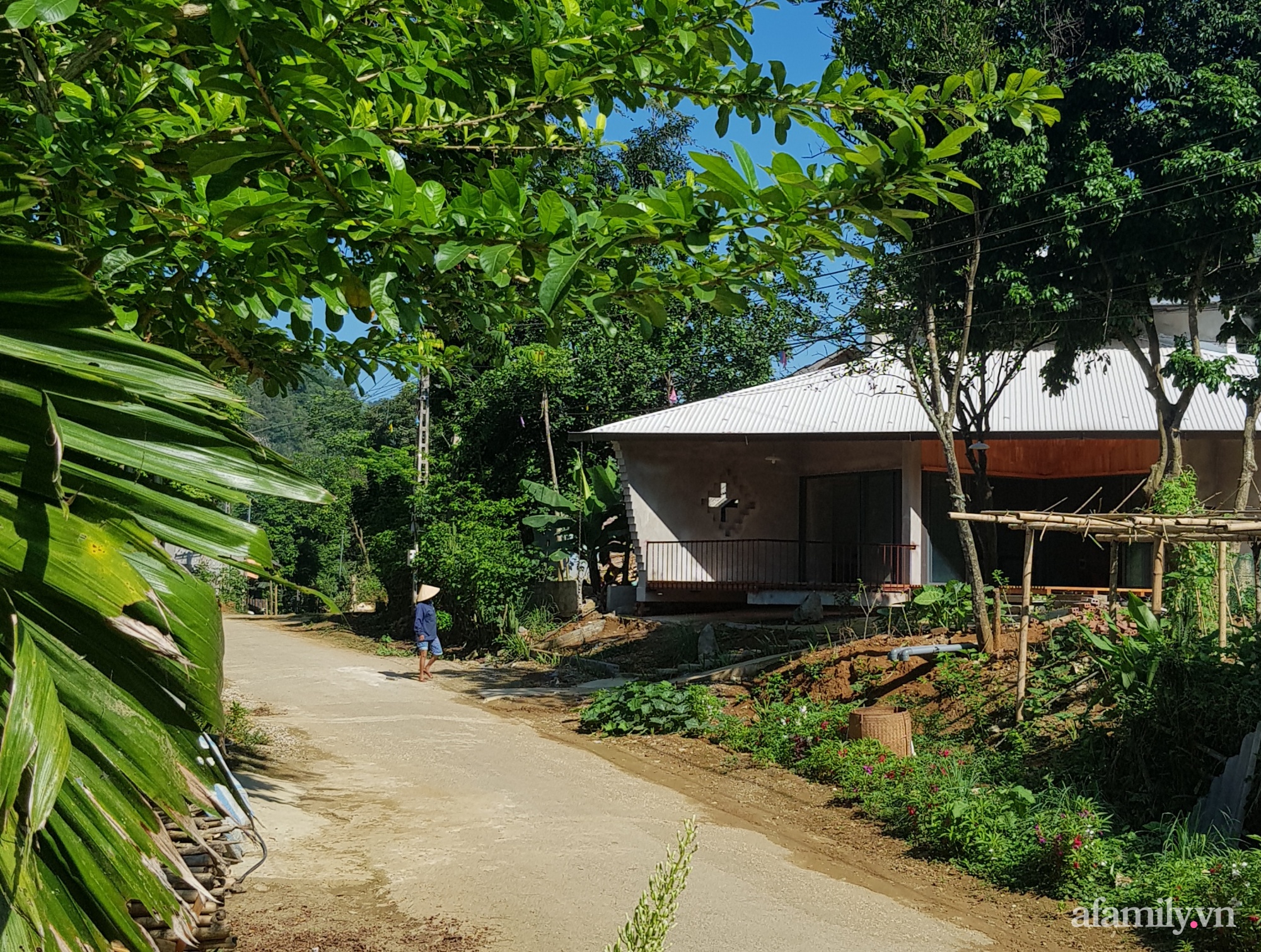 Ngôi nhà mát rượi dưới nắng gắt mùa hè nhờ thiết kế mái hai tầng và ống khói 3 mét ở Thanh Hóa - Ảnh 3.