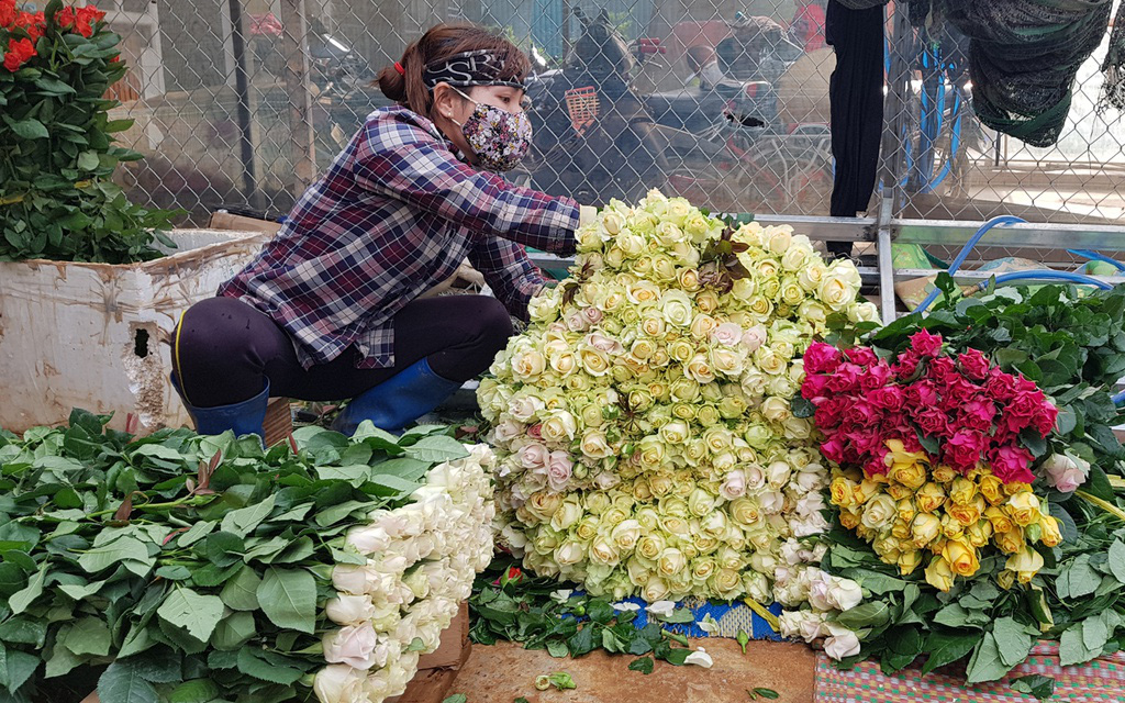 Hơn 100 triệu cành hoa, hàng trăm tấn rau củ ở Lâm Đồng cần hỗ trợ tiêu thụ - Ảnh 1.