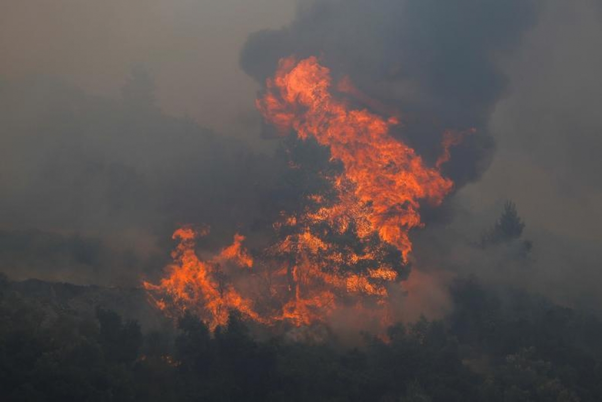 Hy Lạp oằn mình đối phó với cháy rừng như “hỏa ngục” - Ảnh 9.
