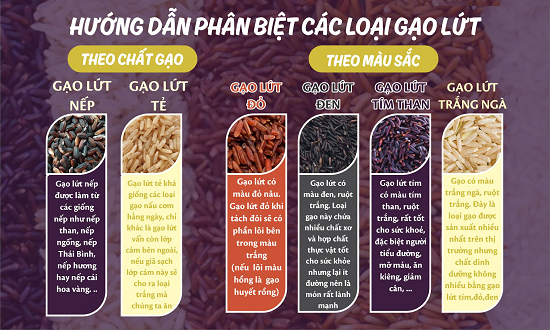 tieu-duong-an-gao-lut-1-16286542335702043726446.png