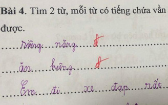 Được yêu cầu đặt câu với từ có vần “iêng”, học sinh lớp 1 trả lời 4 từ mà lột trần bí mật của mẹ