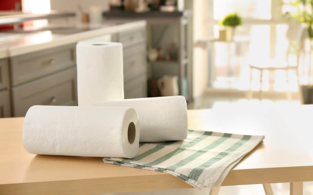 stopusingpapertowels-1080x675-16290777983351084800550.jpeg