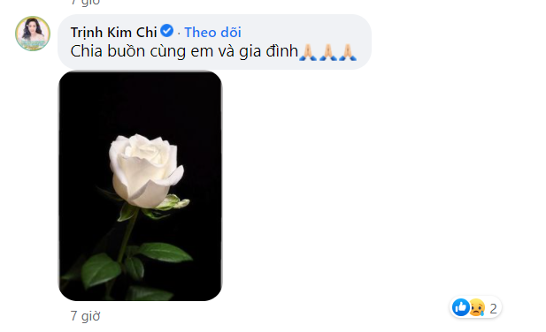 Dàn sao Việt bàng hoàng khi hay tin một nữ nghệ sĩ vừa qua đời - Ảnh 6.