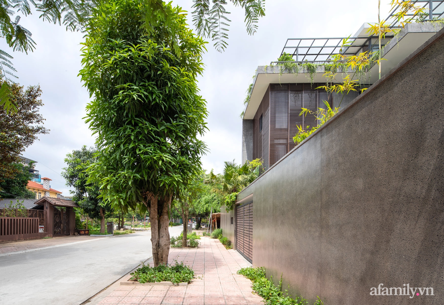 Ngôi nhà với thiết kế hiện đại thu trọn vẻ đẹp của nhịp sống thường nhật ở thành phố Ninh Bình - Ảnh 1.