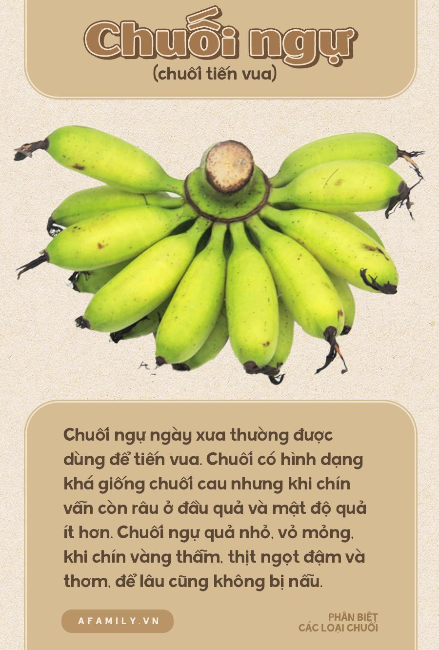 Biết ph&acirc;n biệt c&aacute;c loại chuối mới l&agrave; c&ocirc; g&aacute;i từng trải? Thử check xem bạn ph&acirc;n biệt được mấy loại nh&eacute;! - Ảnh 8.