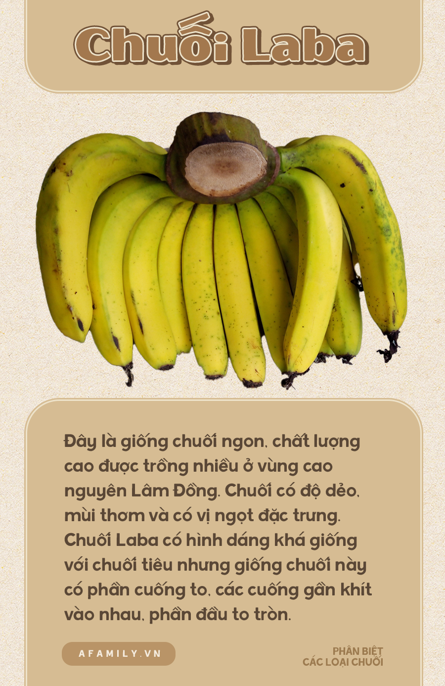 Biết ph&acirc;n biệt c&aacute;c loại chuối mới l&agrave; c&ocirc; g&aacute;i từng trải? Thử check xem bạn ph&acirc;n biệt được mấy loại nh&eacute;! - Ảnh 14.