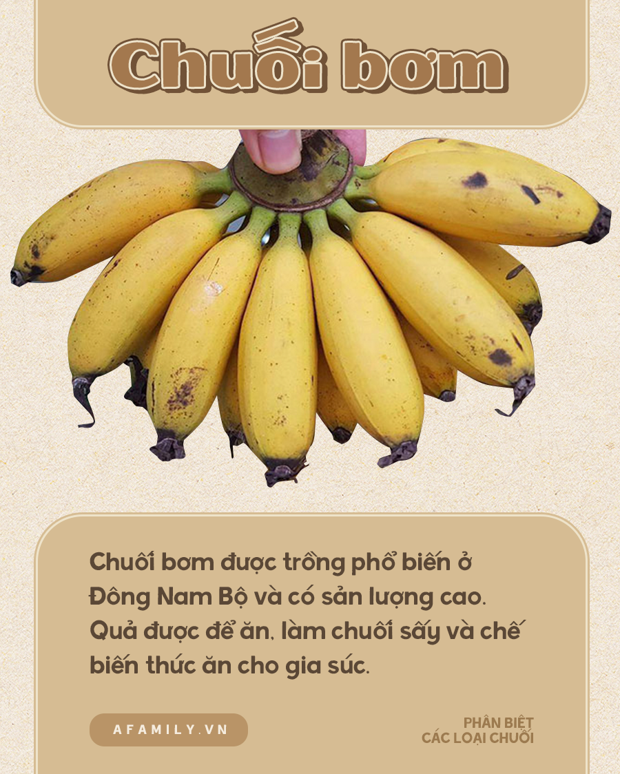 Biết ph&acirc;n biệt c&aacute;c loại chuối mới l&agrave; c&ocirc; g&aacute;i từng trải? Thử check xem bạn ph&acirc;n biệt được mấy loại nh&eacute;! - Ảnh 16.