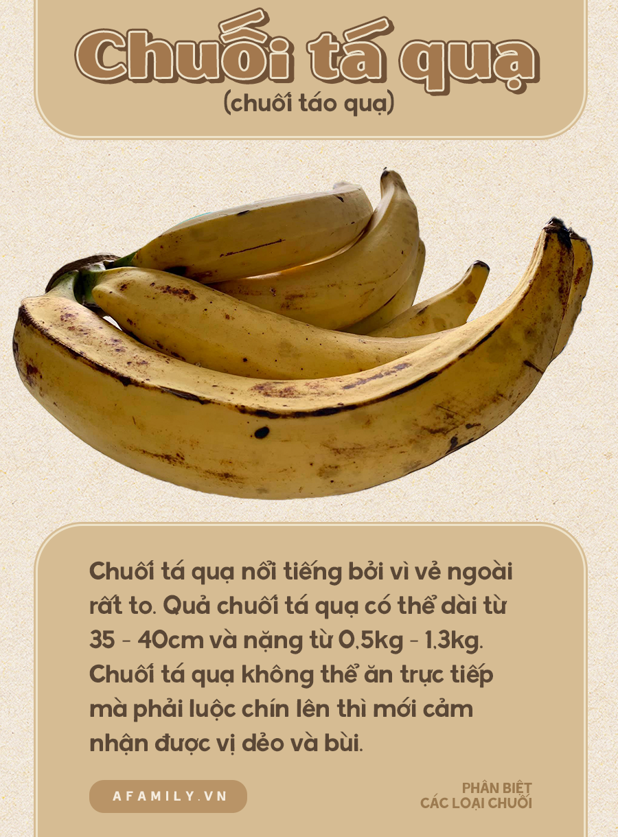 Biết ph&acirc;n biệt c&aacute;c loại chuối mới l&agrave; c&ocirc; g&aacute;i từng trải? Thử check xem bạn ph&acirc;n biệt được mấy loại nh&eacute;! - Ảnh 18.