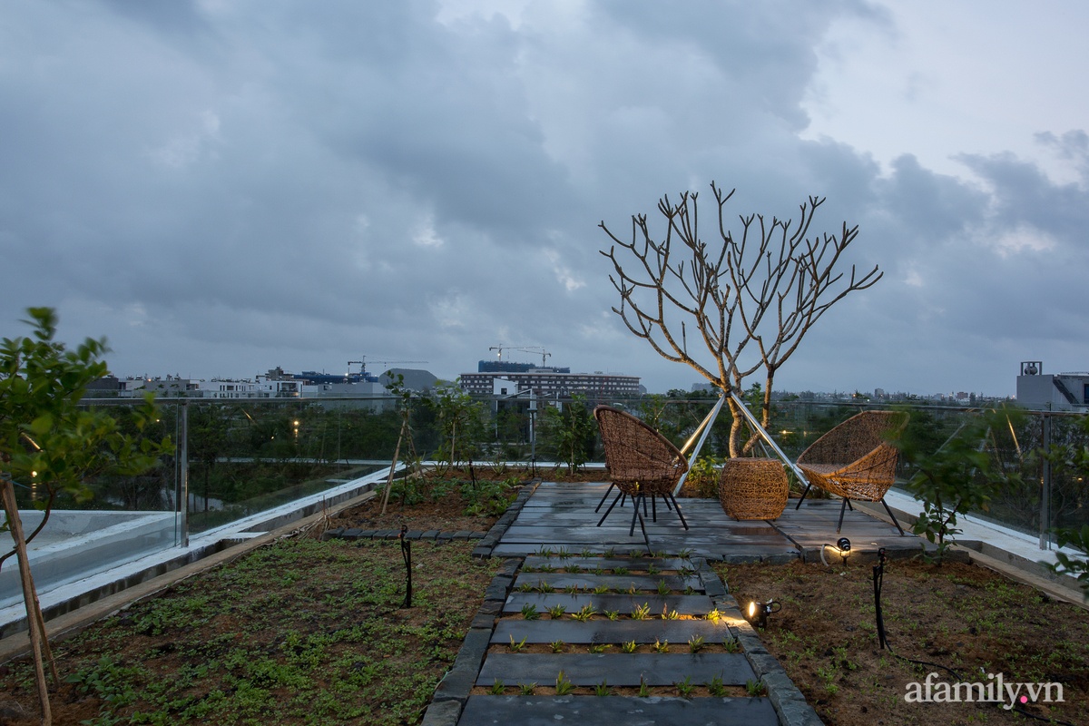 Nhà phố tạo ấn tượng mạnh với khu vườn &quot;khúc khuỷu&quot; trên sân thượng ở Đà Nẵng - Ảnh 23.