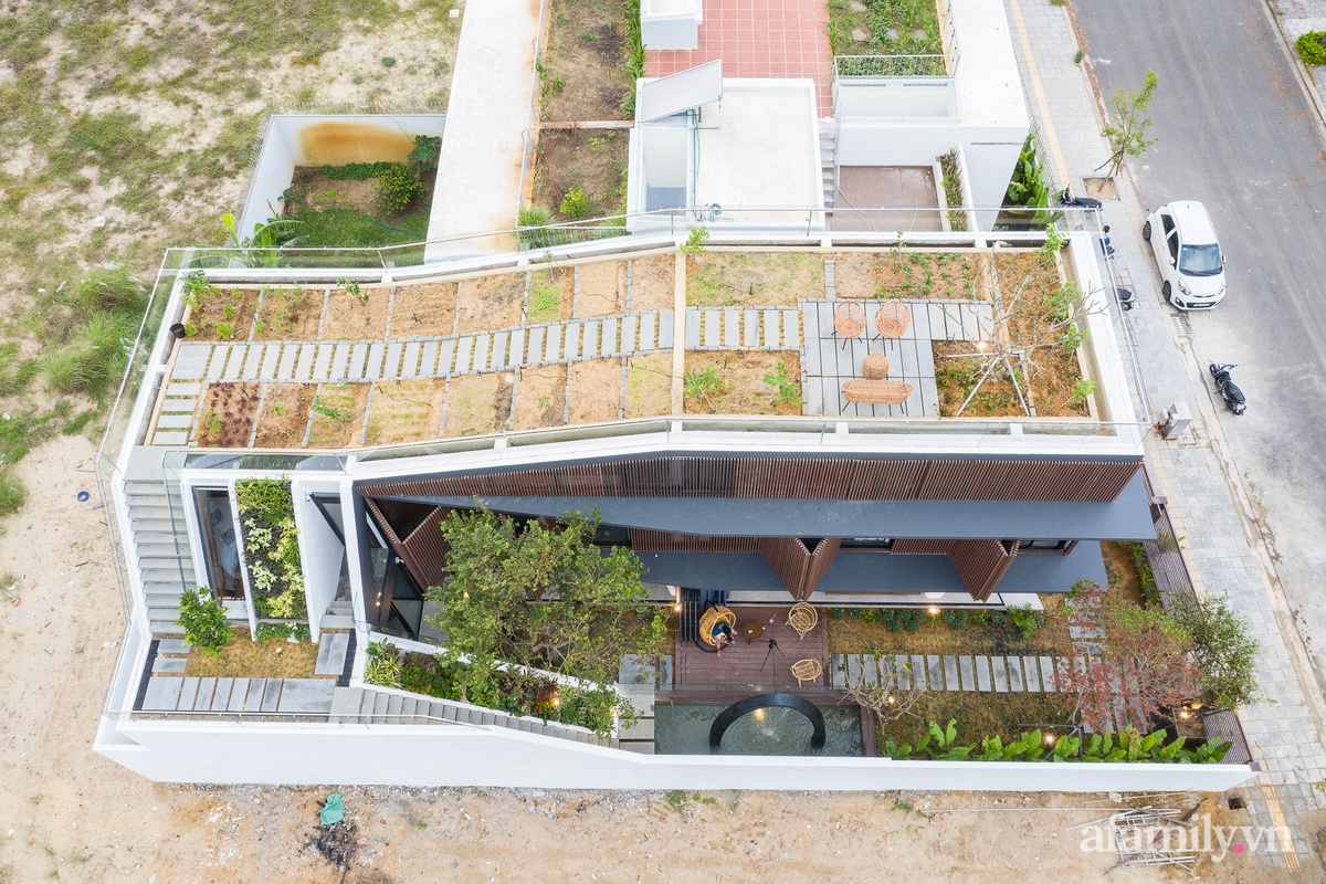 Nhà phố tạo ấn tượng mạnh với khu vườn &quot;khúc khuỷu&quot; trên sân thượng ở Đà Nẵng - Ảnh 2.