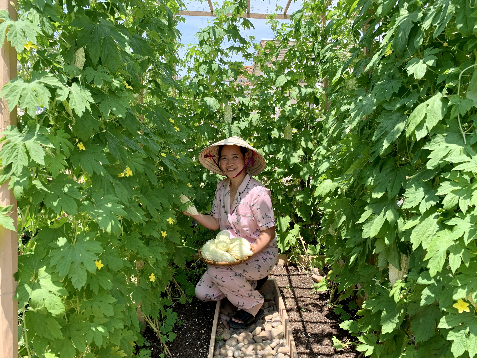Vợ đảm ở Mỹ khoe vườn 450m2 ngập tràn hoa trái giống Việt, tiết lộ bí quyết vàng để cây đạt năng suất, quả trĩu trịt quanh năm - Ảnh 19.