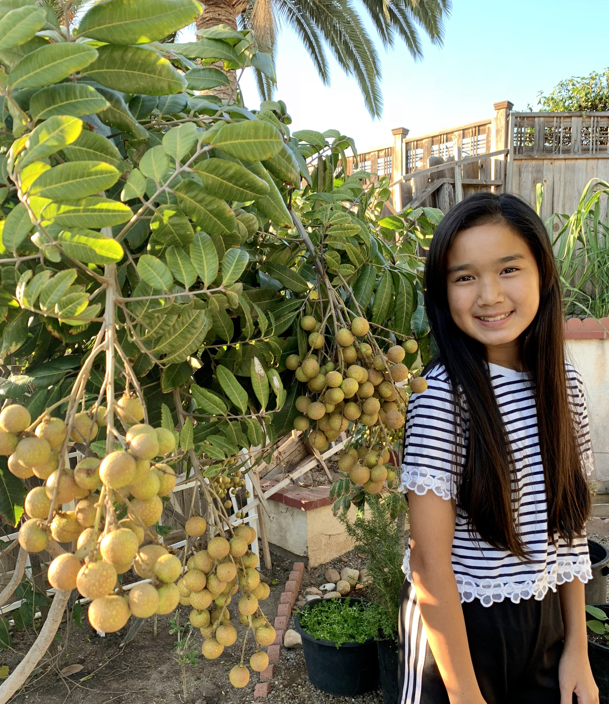 Vợ đảm ở Mỹ khoe vườn 450m2 ngập tràn hoa trái giống Việt, tiết lộ bí quyết vàng để cây đạt năng suất, quả trĩu trịt quanh năm - Ảnh 10.