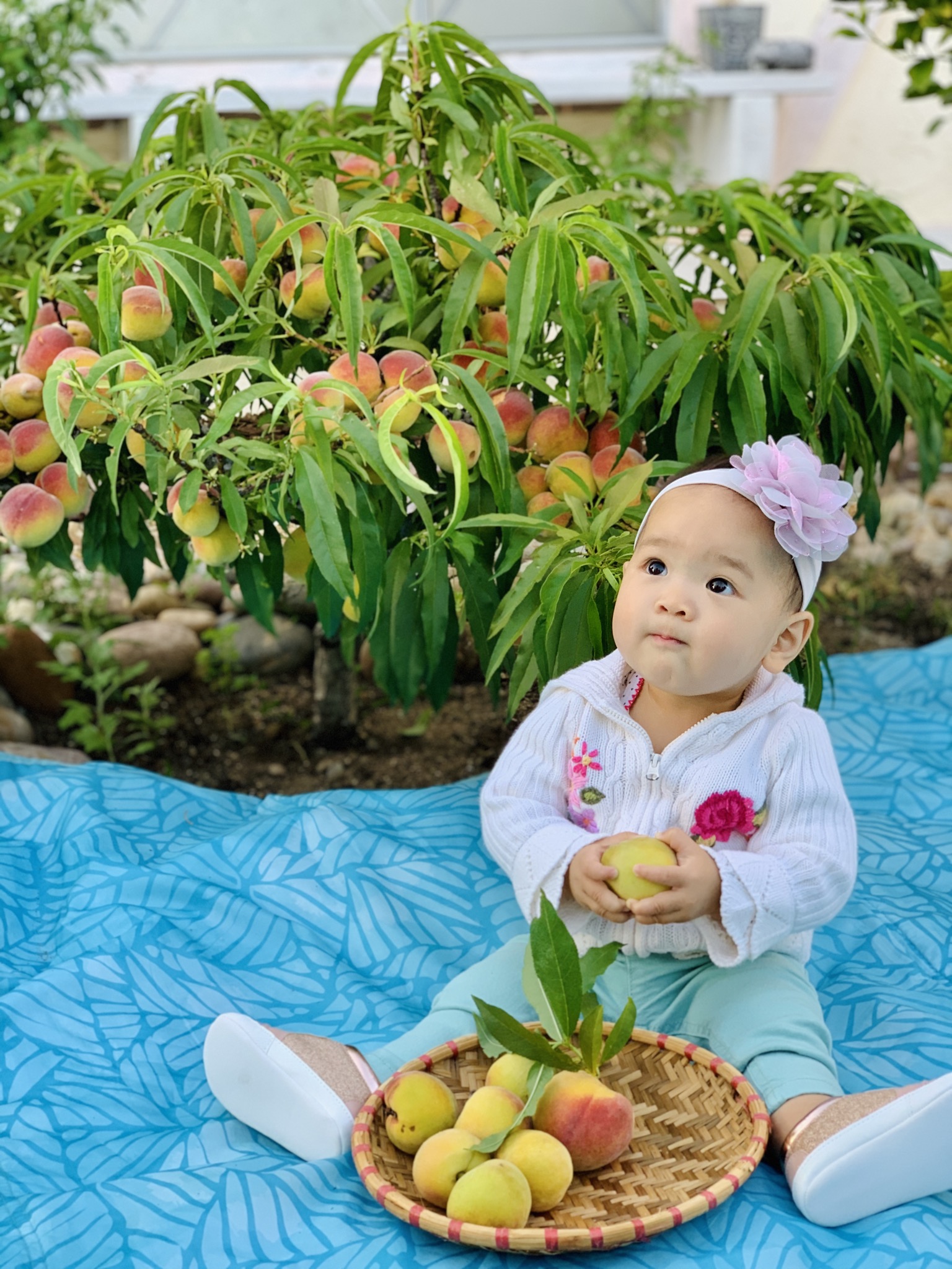 Vợ đảm ở Mỹ khoe vườn 450m2 ngập tràn hoa trái giống Việt, tiết lộ bí quyết vàng để cây đạt năng suất, quả trĩu trịt quanh năm - Ảnh 23.