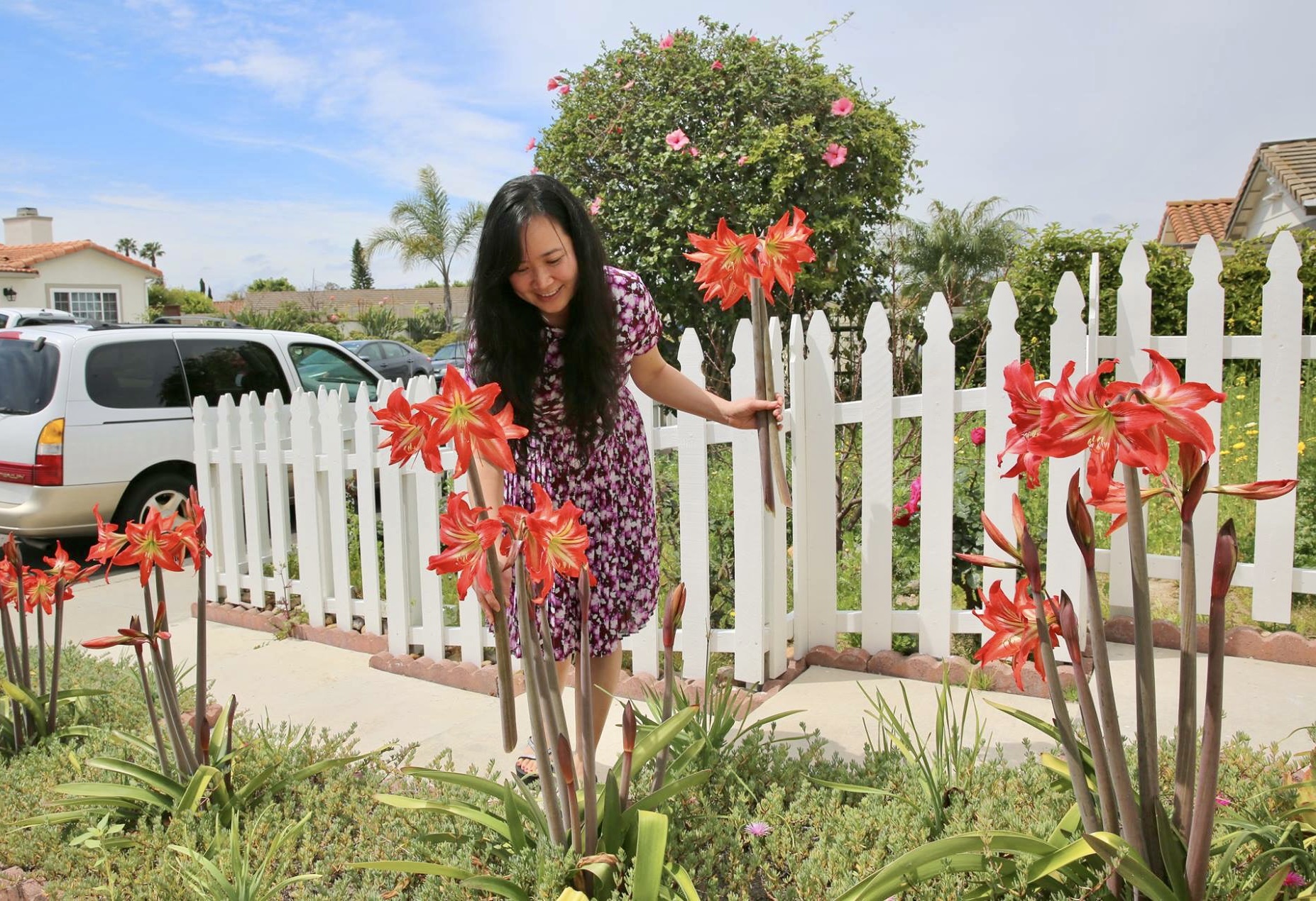 Vợ đảm ở Mỹ khoe vườn 450m2 ngập tràn hoa trái giống Việt, tiết lộ bí quyết vàng để cây đạt năng suất, quả trĩu trịt quanh năm - Ảnh 5.